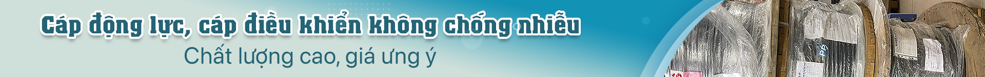 Cáp động lực và điều khiển không chống nhiễu
